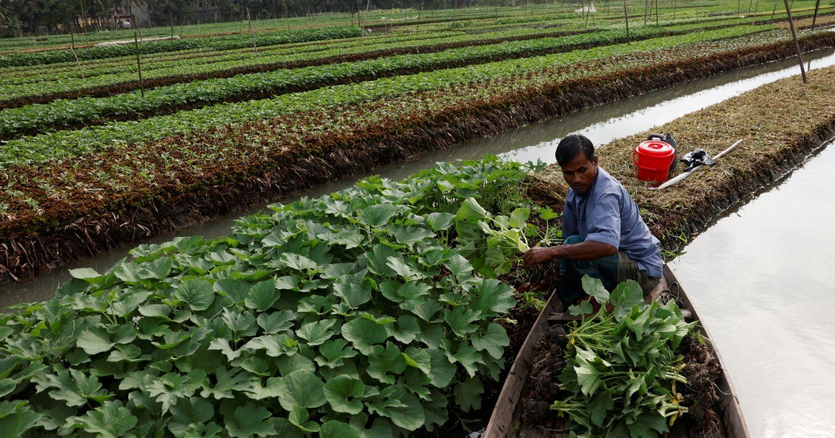 PKSF Agricultural Partnership